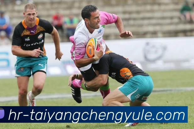 澳门太阳城平台生态图